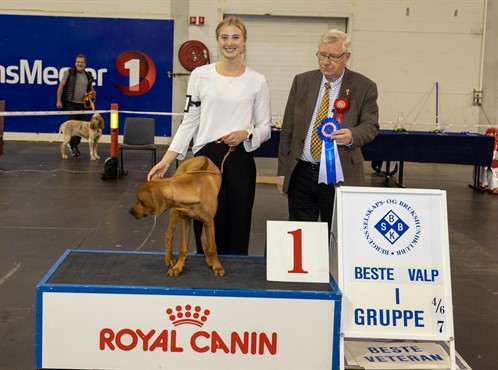 Beste Valp gr 4-6-7