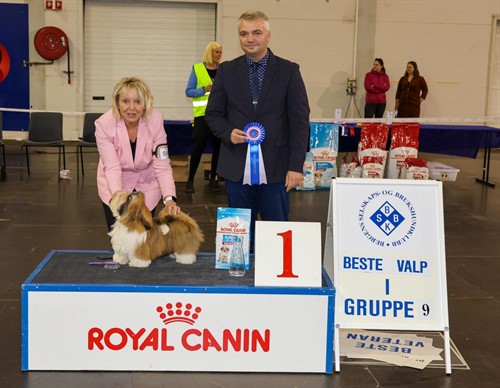 Beste Valp gr 9