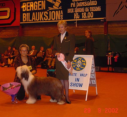 bisvalp_02.jpg